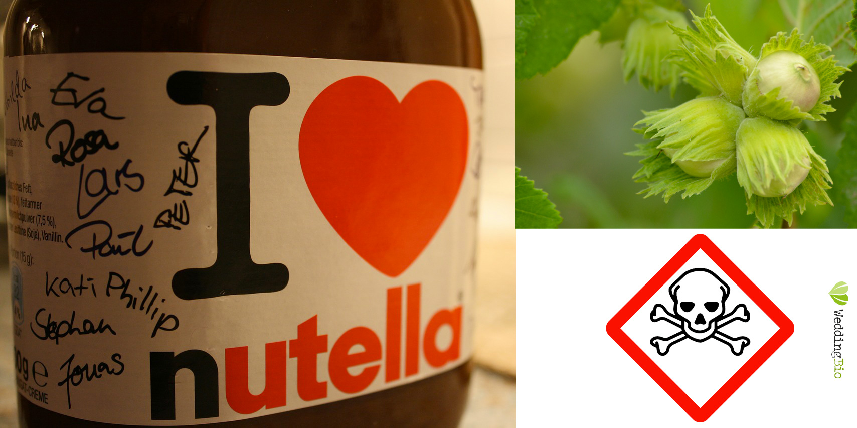 pesticida paraquat trovato nelle nocciole per produrre la nutella