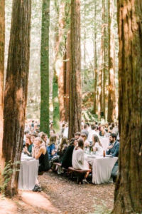 ospiti a tavola tra gli alberi durante ricevimento matrimonio nel bosco